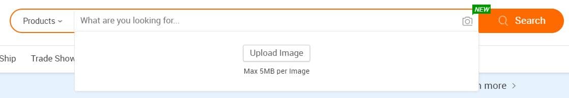 alibaba image product search